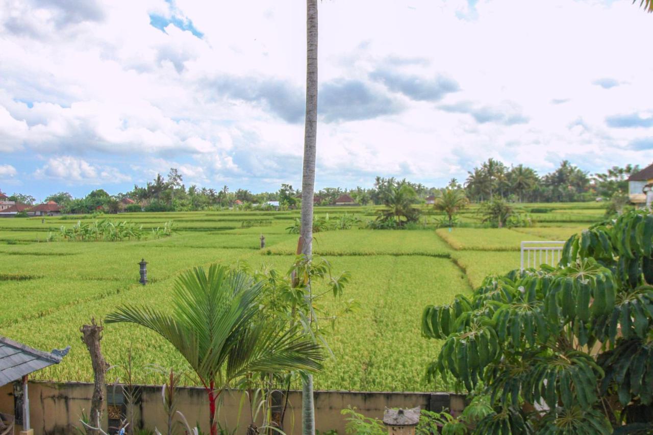 Kubu Sari Ubud Екстер'єр фото