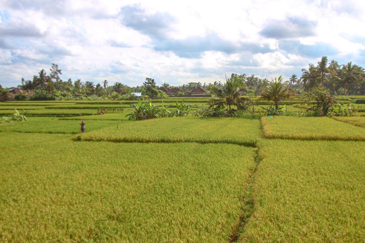 Kubu Sari Ubud Екстер'єр фото