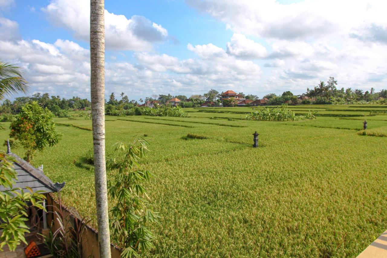 Kubu Sari Ubud Екстер'єр фото